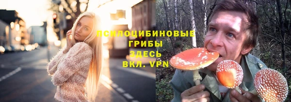 бошки Алзамай